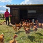 La Ferme Biologique du Grand Bois - 2